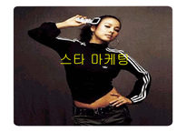 [마케팅사례] 삼성전자 애니콜의 스타마케팅 성공사례-3