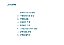 [마케팅] 팬택 국제 비즈니스 전략-2