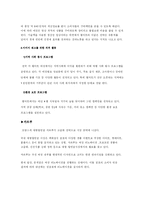 월마트와 까르푸 마케팅 분석-8