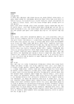세계의 다양한 축제-5