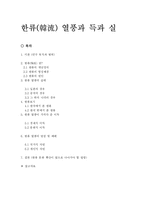 한류열풍 득과 실-1
