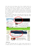 [인터넷뉴스 책임성] 포털사이트 뉴스제공에 있어 기존언론과 같은 책임성-5