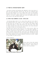 [온라인저널리즘] 온라인 포토저널리즘 윤리의식-5