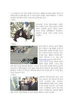 [온라인저널리즘] 포토저널리즘의 신뢰성-7