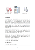 [국제마케팅] 태평양 화장품 중국진출 사례 -라네즈, 롤리타 램피카(추가) 개발 전략-8
