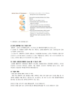 [마케팅사례분석](주)참토원 -황토솔림욕-7