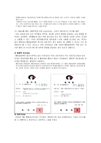 [마케팅사례분석](주)참토원 -황토솔림욕-10