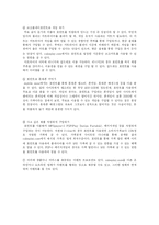 [인터넷마케팅] 국내의 코카콜라와 펩시간의 인터넷 프로모션 비교 및 방향-8
