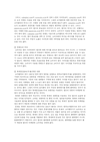 [인터넷마케팅] 국내의 코카콜라와 펩시간의 인터넷 프로모션 비교 및 방향-13