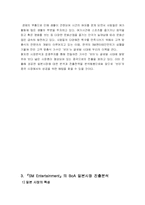 sm엔터테인먼트 국제마케팅사례-11