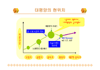 [국제마케팅] 태평양 화장품 사례-5