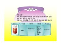[마케팅] 야쿠르트 `쿠퍼스` 마케팅전략-3
