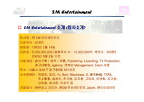 sm엔터테인먼트 국제마케팅사례-4