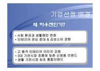 [마케팅] 통합브랜드 HAUZEN 하우젠 마케팅전략-3