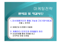 [마케팅] 통합브랜드 HAUZEN 하우젠 마케팅전략-19