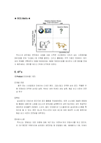 [마케팅] LEXUS 렉서스 마케팅분석-11