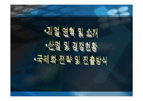 [국제마케팅] 777 쓰리쎄븐(대성금속공업) 글로벌마케팅사례-2