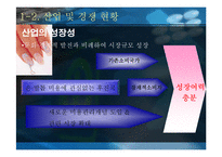 [국제마케팅] 777 쓰리쎄븐(대성금속공업) 글로벌마케팅사례-8