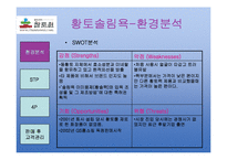 [마케팅사례분석](주)참토원 -황토솔림욕-3