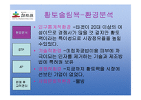 [마케팅사례분석](주)참토원 -황토솔림욕-4