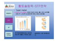 [마케팅사례분석](주)참토원 -황토솔림욕-6
