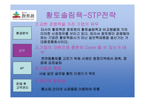 [마케팅사례분석](주)참토원 -황토솔림욕-7