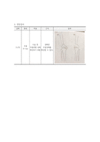 성인간호학실습 TKRA 케이스 [간호진단 및 간호과정 3개]-12