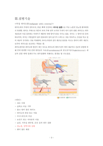 성인간호학실습_외이도염 [간호진단 8개 & 간호과정 3개]-4