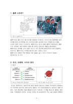 펠톤수차 실험/예비보고서/기계공학응용실험2/금오공대(금오공과대학교)/기계공학과/실험/보고서/레포트 -3