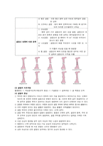 성인간호학 주제학습 (외상 및 골절 환자 치료와 간호)-6