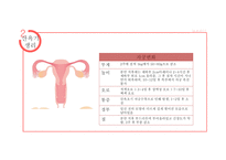 산욕기 산모의 신체적변화 및 간호사정 [PPT 발표자료]-5