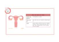 산욕기 산모의 신체적변화 및 간호사정 [PPT 발표자료]-6