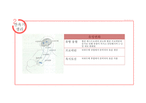 산욕기 산모의 신체적변화 및 간호사정 [PPT 발표자료]-7