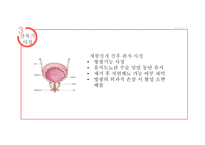 산욕기 산모의 신체적변화 및 간호사정 [PPT 발표자료]-16