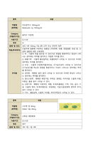 성인간호학실습 케이스스터디 (추간판 탈출증) [간호진단 및 간호과정 3개]-13