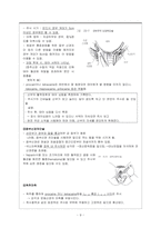 여성간호학 주제학습 [통증이론 & 분만통증완화법]-9