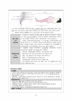 여성간호학 주제학습 [통증이론 & 분만통증완화법]-10