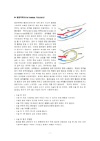 성인간호학실습 케이스스터디 (만성신부전) [간호진단 및 간호과정 5개]-8