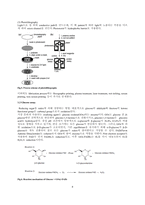 분석화학 기기분석 Paper-based microfluidic 실험 보고서 (학부 수석의 레포트 시리즈)-4