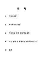 메타버스의 성장으로 우리가 투자해야 할 국내기업-2