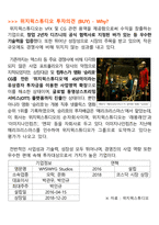 메타버스의 성장으로 우리가 투자해야 할 국내기업-9