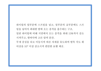 사업계획서 - 여성전용 기능성 수제화 온라인쇼핑몰 창업계획서 PPT-10