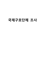 국제구호단체 조사(국제복지, 기아대책, 해외사업, 국내사업, 북한사업, 빈곤퇴치사업, 의료지원사업)-1