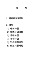 국제구호단체 조사(국제복지, 기아대책, 해외사업, 국내사업, 북한사업, 빈곤퇴치사업, 의료지원사업)-2