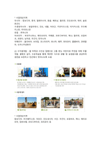 국제구호단체 조사(국제복지, 기아대책, 해외사업, 국내사업, 북한사업, 빈곤퇴치사업, 의료지원사업)-7