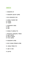 국민연금제도 필요성과 특징 / 장단점분석과 해외사례분석 / 현 국민연금제도 문제점과 정부 개선안의 문제점분석 / 국민연금 개혁방안 제시-2