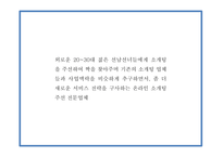 창업계획서 - 2030 소개팅 주선 온라인 사이트 창업 사업계획서 PPT-4