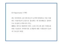 창업계획서 - 2030 소개팅 주선 온라인 사이트 창업 사업계획서 PPT-12