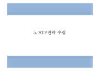 창업계획서 - 2030 소개팅 주선 온라인 사이트 창업 사업계획서 PPT-14