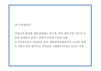 올인원 아이메이크업 제품개발 사업계획서-7